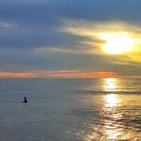 *** :: Екатерина Филипенко