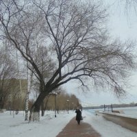 Однажды в Казахстане . Набережная Ульбы . :: Мила Бовкун