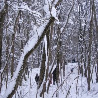 Все на горку! :: Анна Воробьева