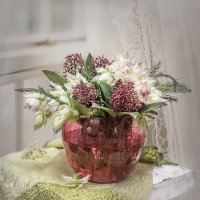 Зимний букет. :: Bosanat 