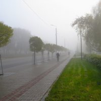Туманное утро :: Лариса С.