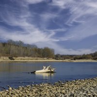 Река Кубань :: Игорь Сикорский