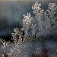 Рисунки на стекле. :: nadyasilyuk Вознюк