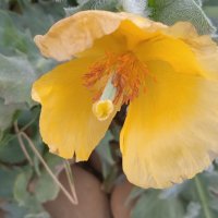 октябрь на юге :: Елена Шаламова