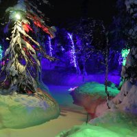 Ночи Таинственного леса :: Ольга 