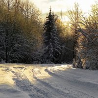 зимнее утро... :: Владимир Матва