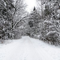 Про смоленскую зиму. :: Милешкин Владимир Алексеевич 