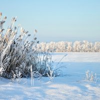 Зима. :: Владимир 