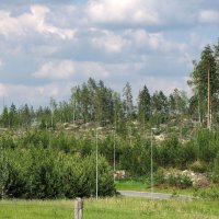 Пейзаж возле Hesburger (Хесбургер) :: Александр Ильчевский Пейзаж возле Hesburger (Хесбургер) :: Александр Ильчевский