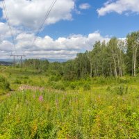Лето. Прогулка по ЛЭП. :: Алексей Трухин