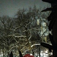 *** :: Валентина Береснева