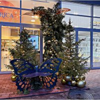 Фотозона. :: Валерия Комова