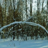 пейзаж :: Владимир 