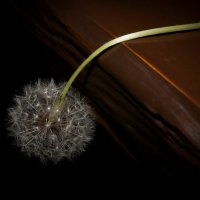 грусть :: Aleksandr 