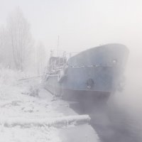 Укутан туманом :: Марина Фомина.