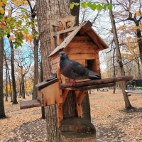 Кормушка для птиц :: Надежда 