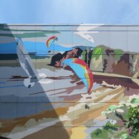 И зимой о лете... :: ИРЭН@ .