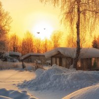 Заполярная дача 5 :: Владимир Чикота 