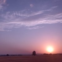 **** :: Екатерина Леш