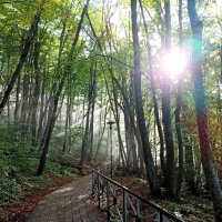 Свято - Михайловский афонский мужской монастырь, Адыгея :: Екатерина Леш