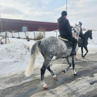 Talgar. Ak Bulak. :: Murat Bukaev 