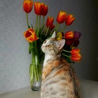 Муизза :: Екатерина Леш