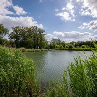 Зелёное время... :: Николай Гирш