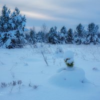 На фотографии изображён зимний пейзаж, наполненный спокойствием и прохладой. :: NikitinAleks 