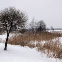 Зима :: VL Зима :: VL