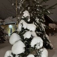 А за городом зима,зима, зима... :: Pippa 