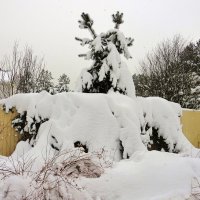 Замело... :: Андрей Снегерёв