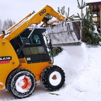 Борьба со снегом :: Татьяна Тюменка
