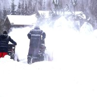 Двойная тяга :: Татьяна Тюменка Двойная тяга :: Татьяна Тюменка