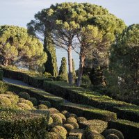 Воронцовский парк. :: Дмитрий А