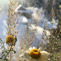 *** :: Виктория Павлова