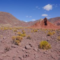 В Радужной долине... :: Владимир Жданов
