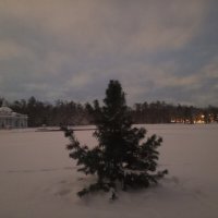 Зима :: Сапсан 