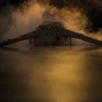 Оживший песок :: Сергей 