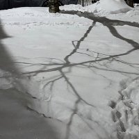 *** :: Наталья Герасимова