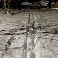 Снежный январь :: Наталья Герасимова