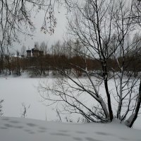 Сезон нецветной фотографии в разгаре :: Андрей Лукьянов