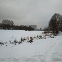 Сезон нецветной фотографии  в разгаре :: Андрей Лукьянов