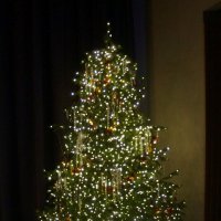 ёлочка в фойе к/т Художественный :: zavitok *