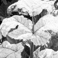 Фотография :: Денис Безногов