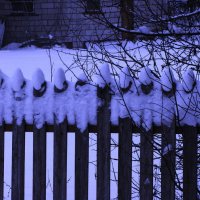 Украсился заборчик :: Людмила Смородинская