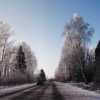 По зимней дороге :: Людмила Смородинская