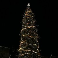 И снова с наступающим! :: Ольга 