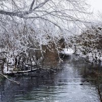 ....зимний занавес... :: Александр Герасенков