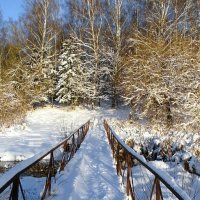 Пешеходный мост через речку. :: Милешкин Владимир Алексеевич Пешеходный мост через речку. :: Милешкин Владимир Алексеевич