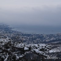 Природа Крыма :: Amazing Cosmea